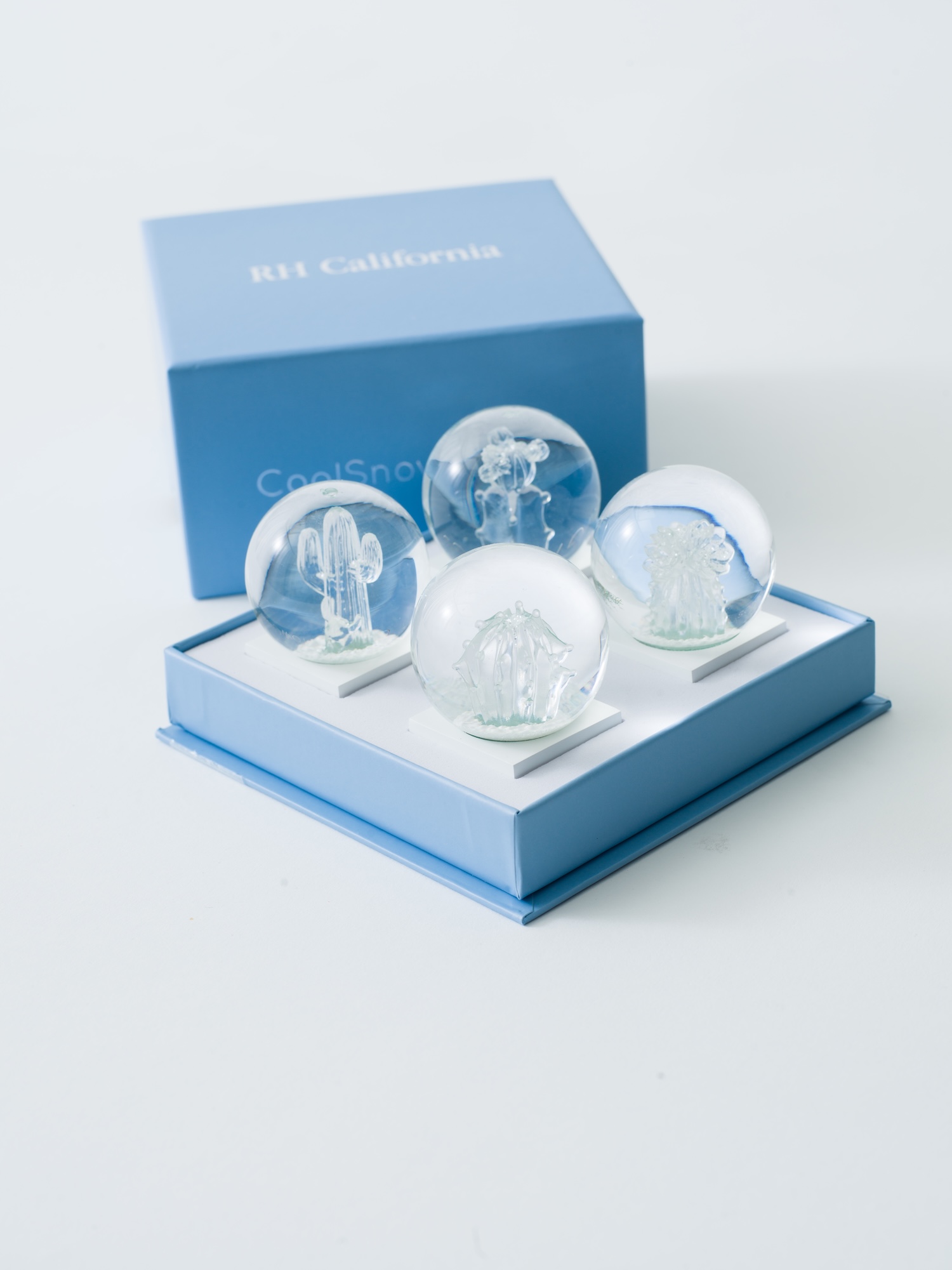 Clear Mini Cactus Snow Globe Set