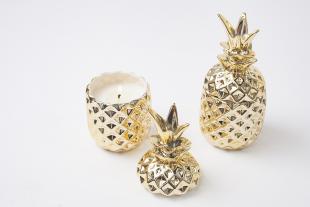 Soy Candle & Diffuser-Pineapple