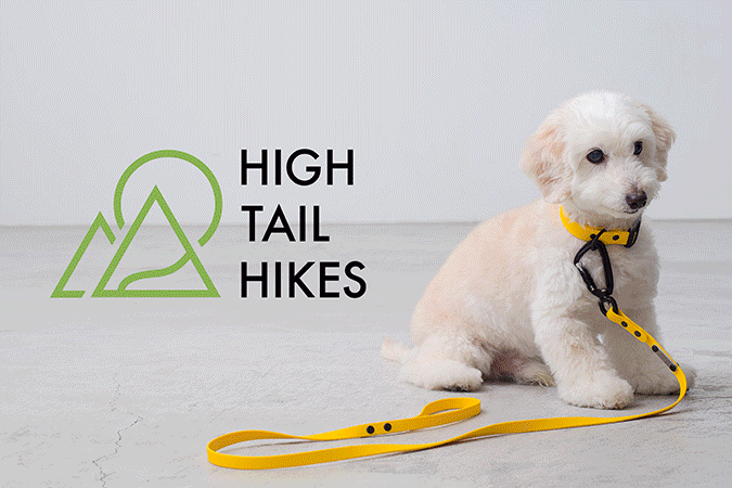 HIGH TAIL HIKES New Arrival