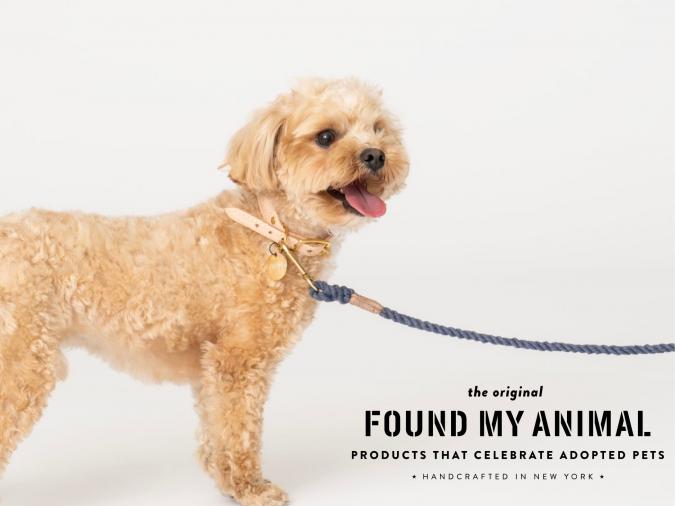 FOUND MY ANIMAL Close Up Event